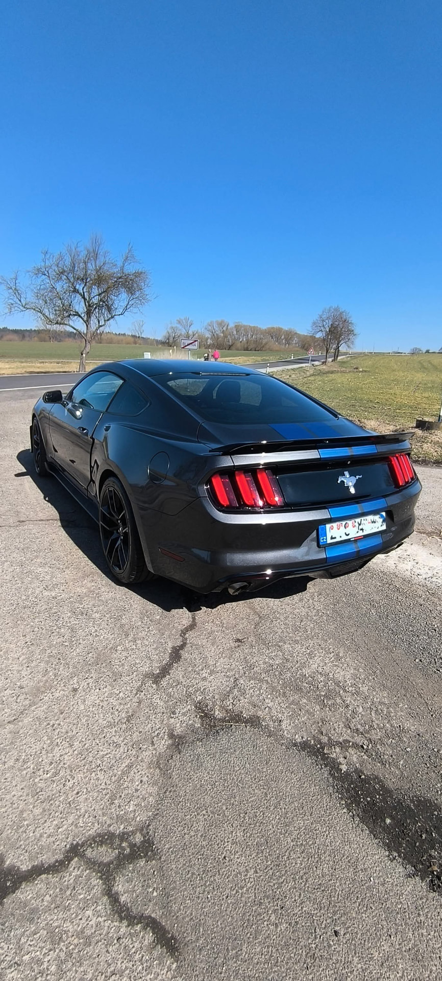 Mustang po strojním leštění laku, pohled zezadu