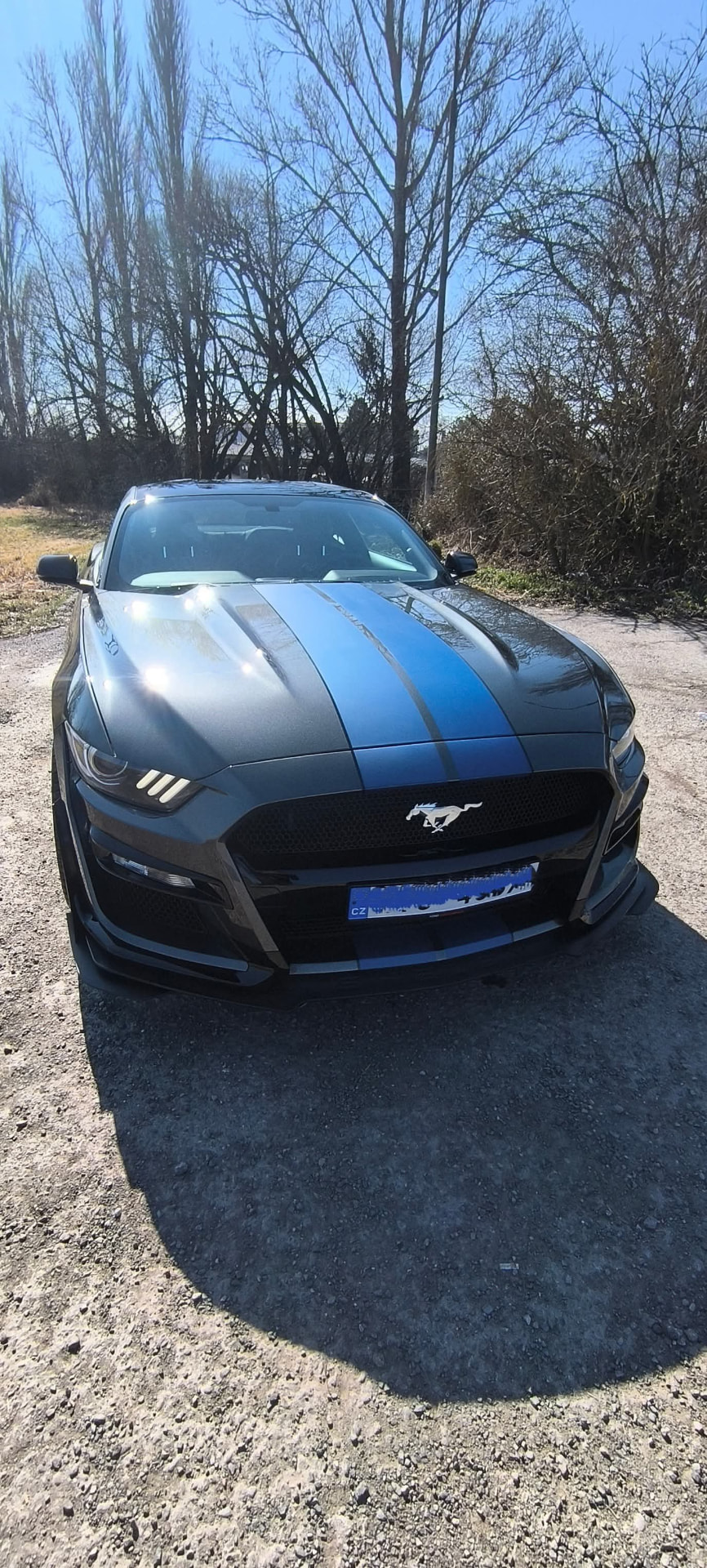 Mustang po strojním leštění laku, pohled zepředu